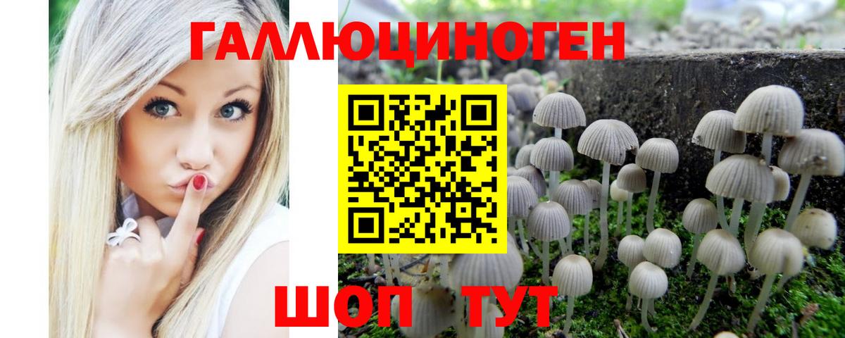 Алексин  Галлюциногенные грибы GOLDEN TEACHER  Вход с VPN 