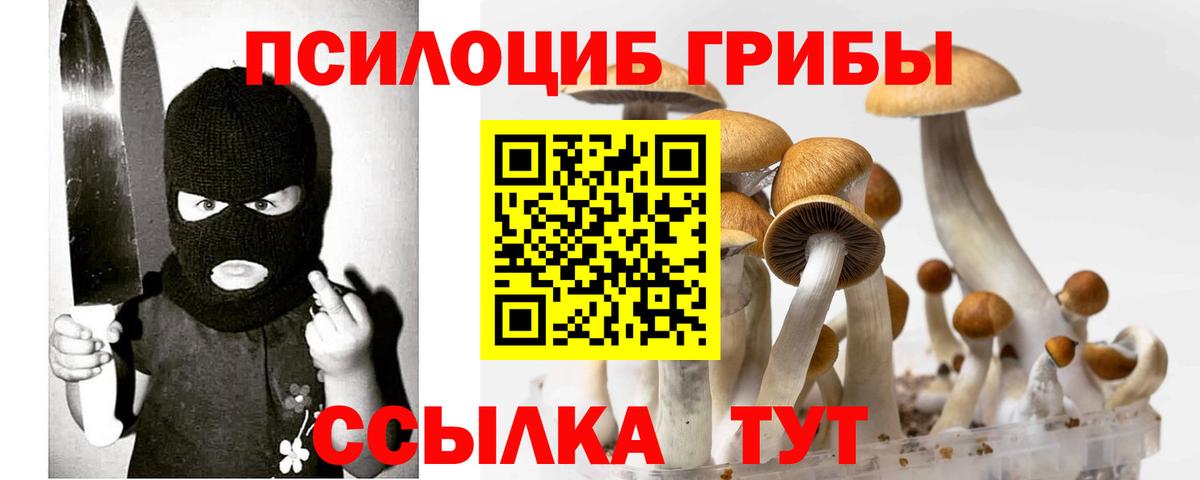 Галлюциногенные грибы прущие грибы Алексин
